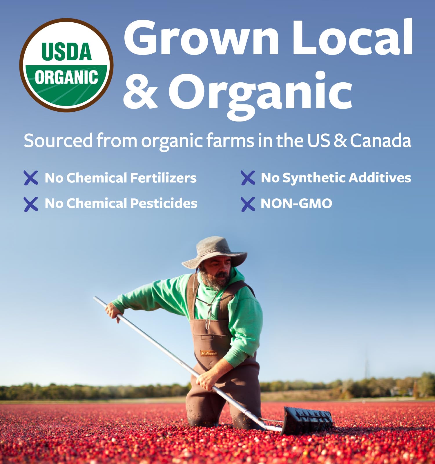 PURE CO Concentre canneberge certifié USDA Organic, qualité supérieure pour chaque dose.