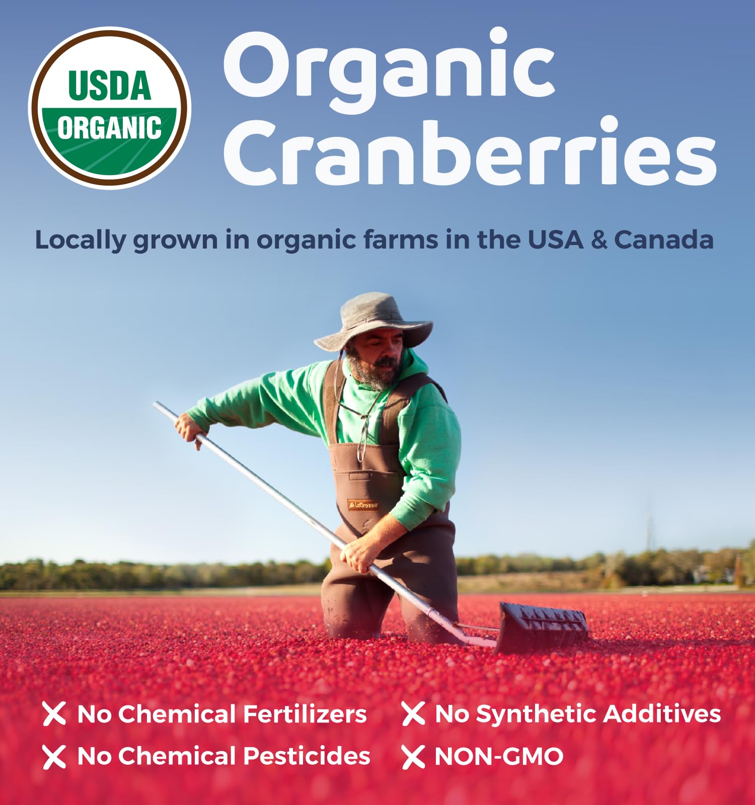 Pure Co étiquette USDA biologique attestant de la qualité