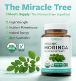 Gros plan sur les poudres vertes Pure Co Moringa, nutriments concentrés.