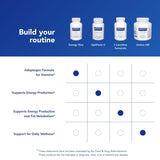 Pure Encapsulations Énergie Xtra — scène bureau, énergie soutenue sans surstimulation.