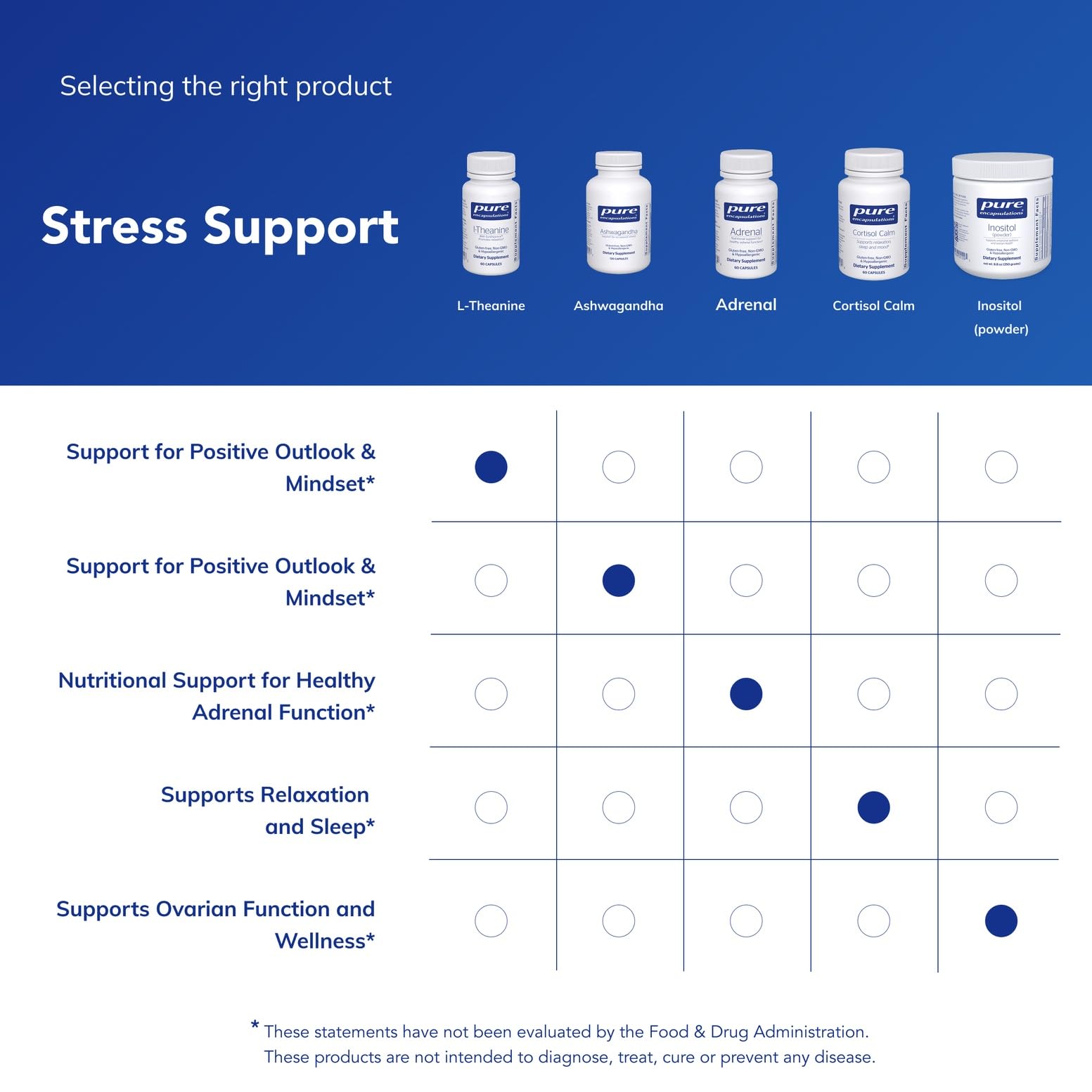 Utilisation polyvalente de Pure Encapsulations L-Theanine pour concentration et détente.