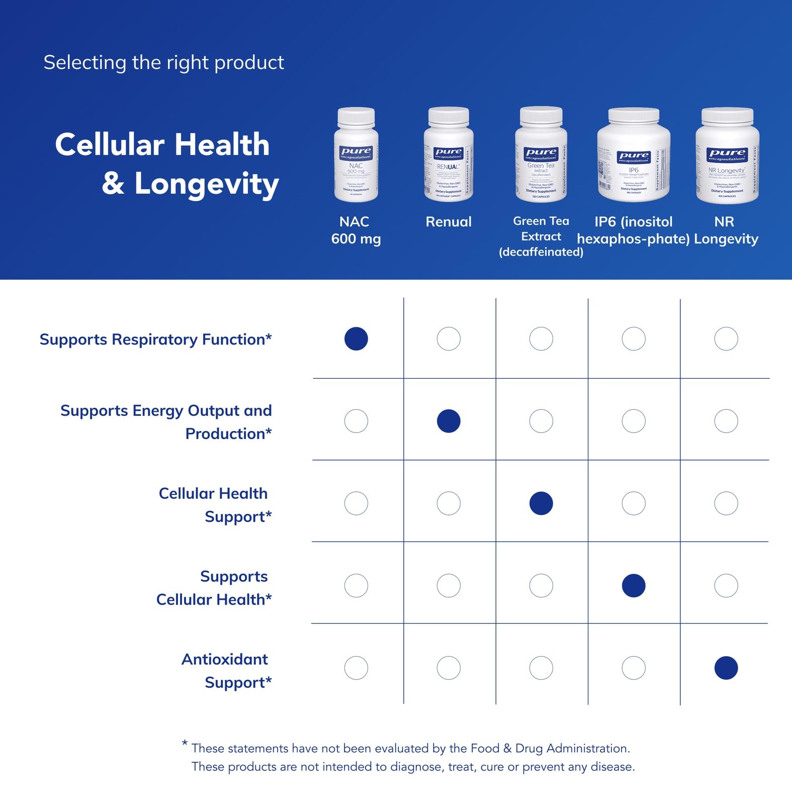 Pure Encapsulations NAC 600 mg — notice produit claire et informative.
