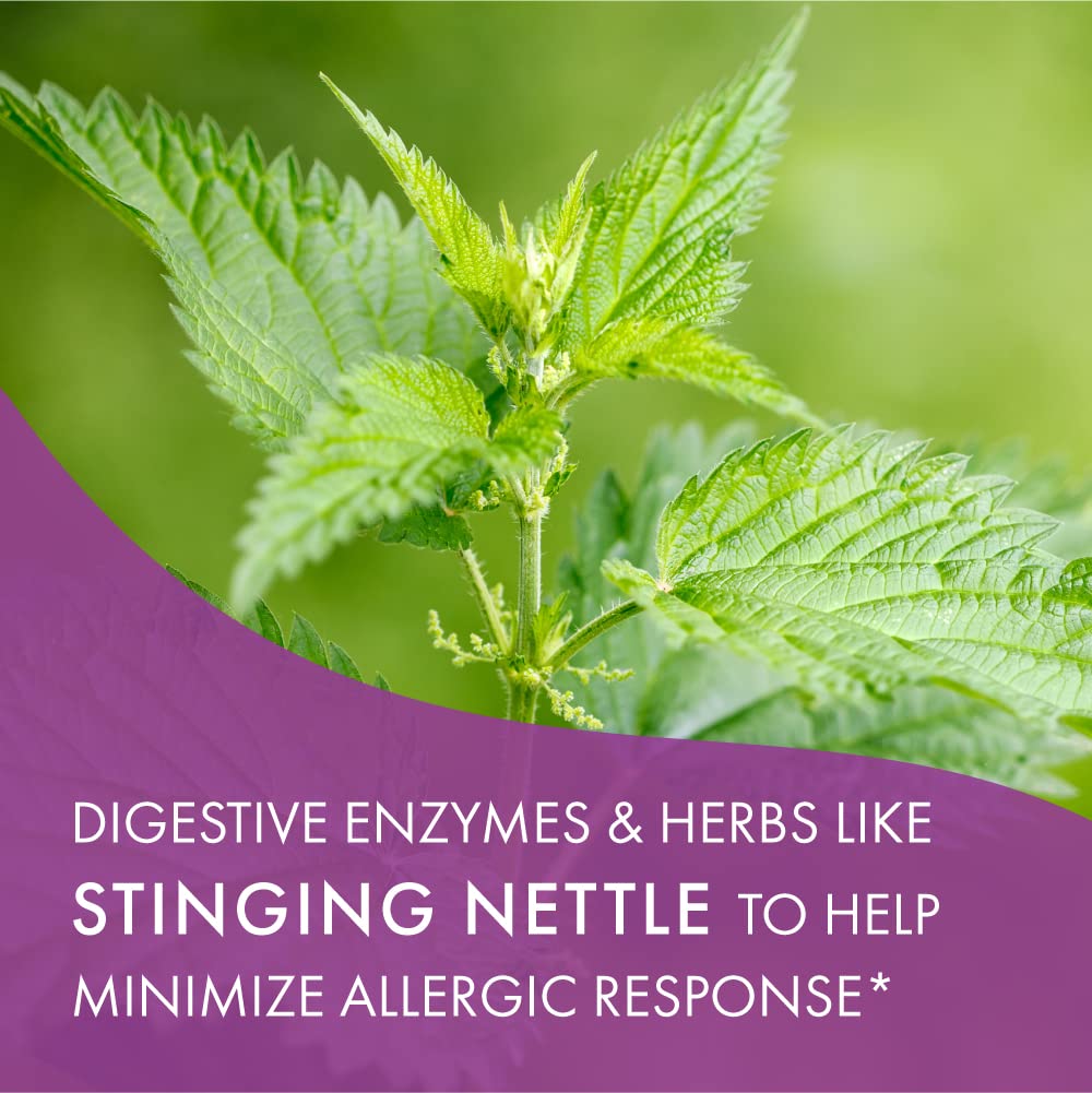Liste-ingrédients AllerFree montrée, enzymes et herbes pour les réactions allergiques potentielles.