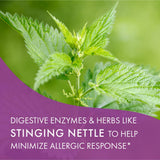Liste-ingrédients AllerFree montrée, enzymes et herbes pour les réactions allergiques potentielles.