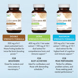 Pure Essence Labs MyPure extraction alcool – Capture erinacines et hericenones pour l'effet cognitif.