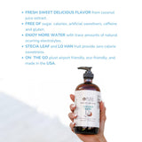 Pure Inventions gouttes infusion mangue coco — ingrédients naturels pour une boisson sans sucre ajouté