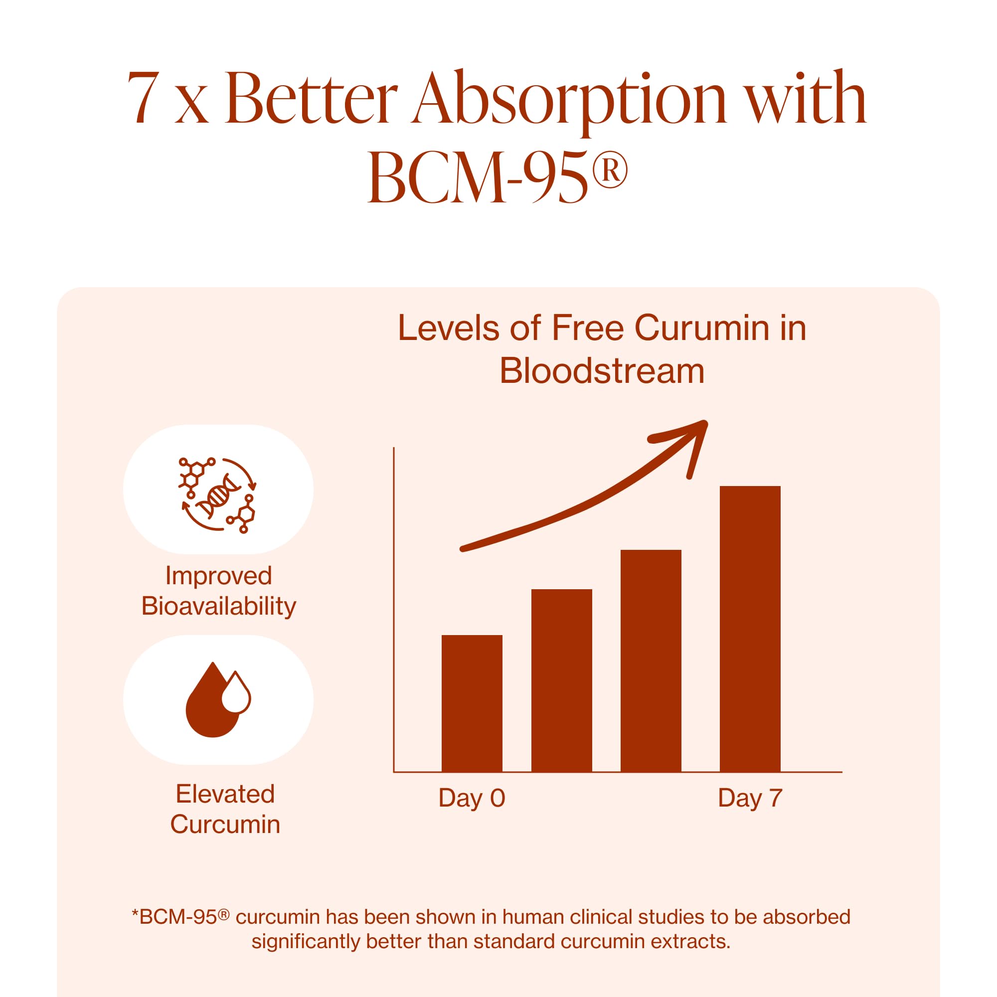 Pure Micronutrients Curcuma Bio – étiquette claire montrant ingrédients biologiques