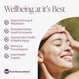 Pure Micronutrients Resveratrol – dose quotidienne prête à l’emploi.