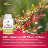 Pure Nootropics Dihydroberberine GlucoVantage – petites gélules taille 3 pour meilleure tolérance