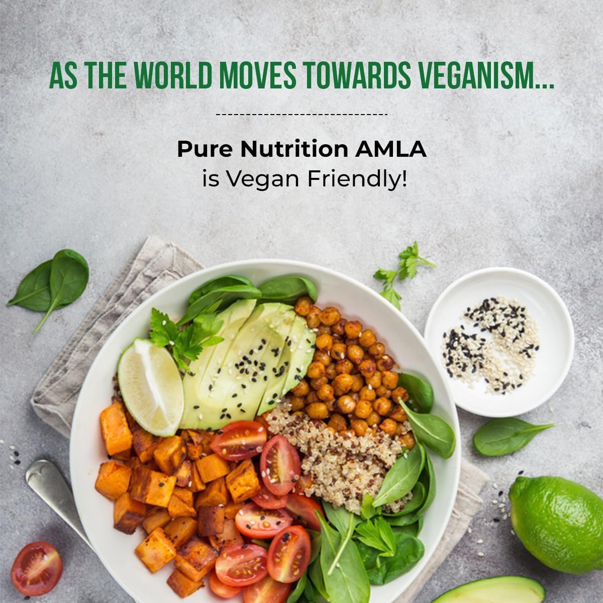 Gros plan sur les ingrédients Pure Nutrition Natural Treasures Amla Extrait et Poudre Amla.