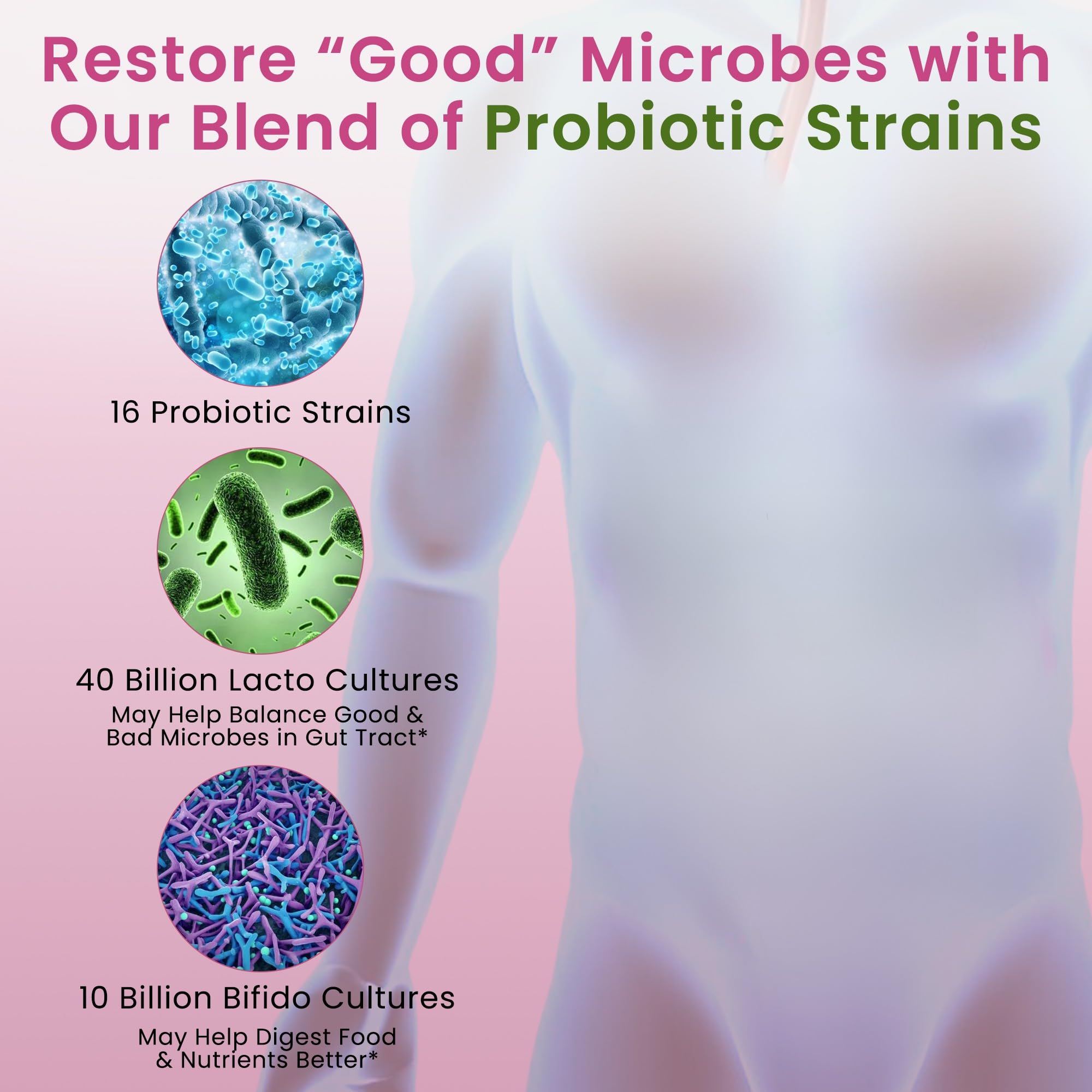 Diversité probiotiques avec Lactobacillus et Bifidobacterium dans Pure Nutrition.