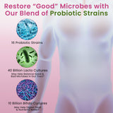 Diversité probiotiques avec Lactobacillus et Bifidobacterium dans Pure Nutrition.