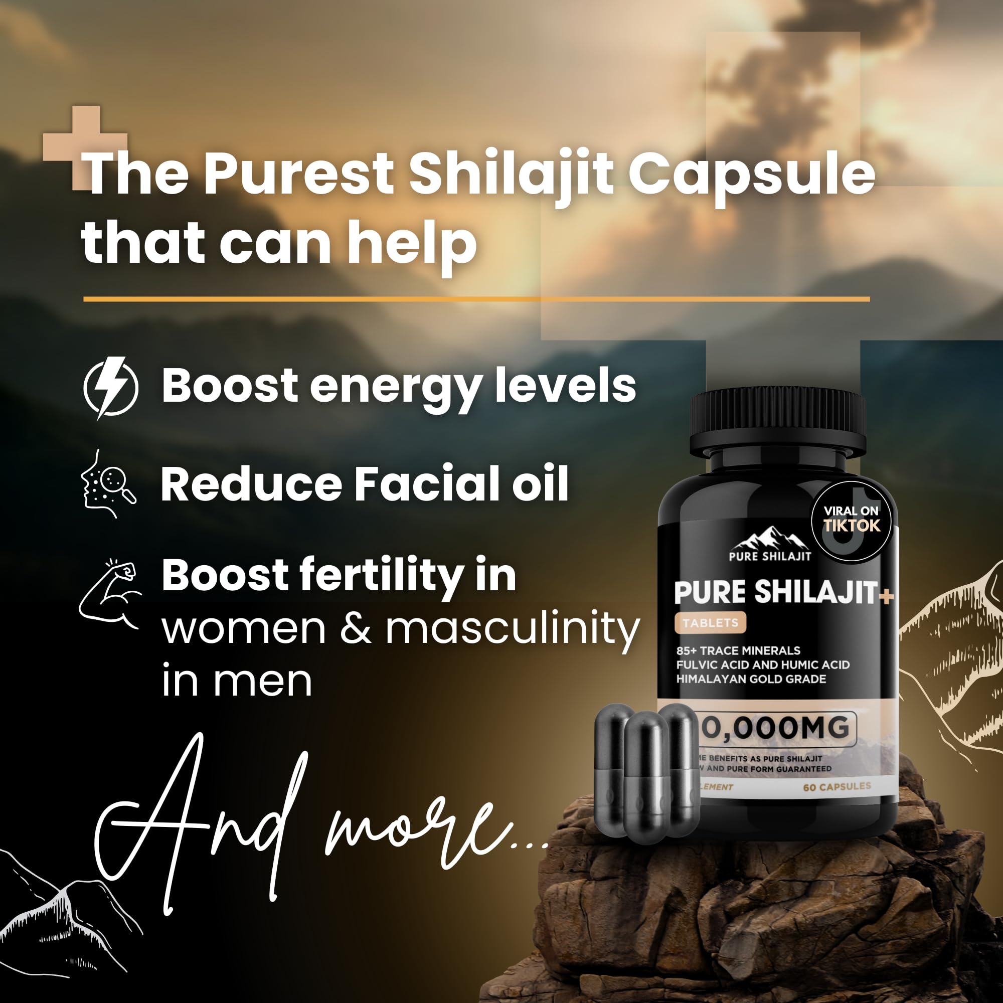 Pure Shilajit – étui et étiquette, origine himalayenne authentique.