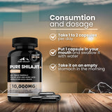 Pure Shilajit – composition en minéraux et acide fulvique pour la vitalité.