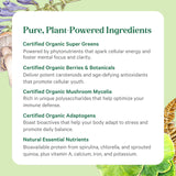 PURE SYNERGY: champignons-bio illustrant des composants essentiels pour le bien-être quotidien.