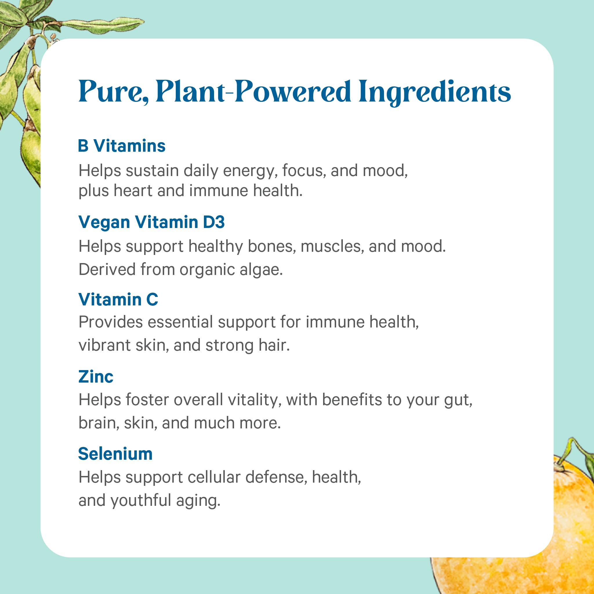 Pure Synergy Multi Vitamine : dosage quotidien facile, deux comprimés par jour.