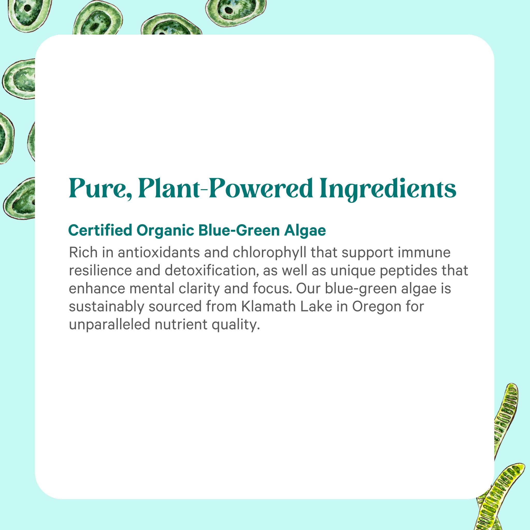 PURE SYNERGY: Production aux États-Unis assurant traçabilité et qualité