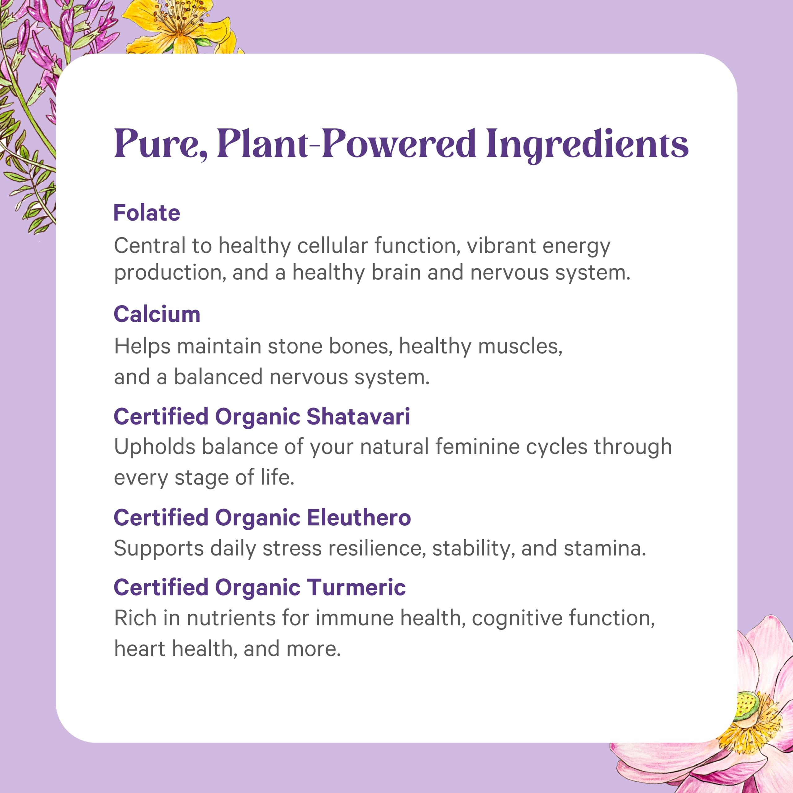 PURE SYNERGY Vita-Min-Herb femmes — boîte présentant 120 comprimés pour énergie et immunité