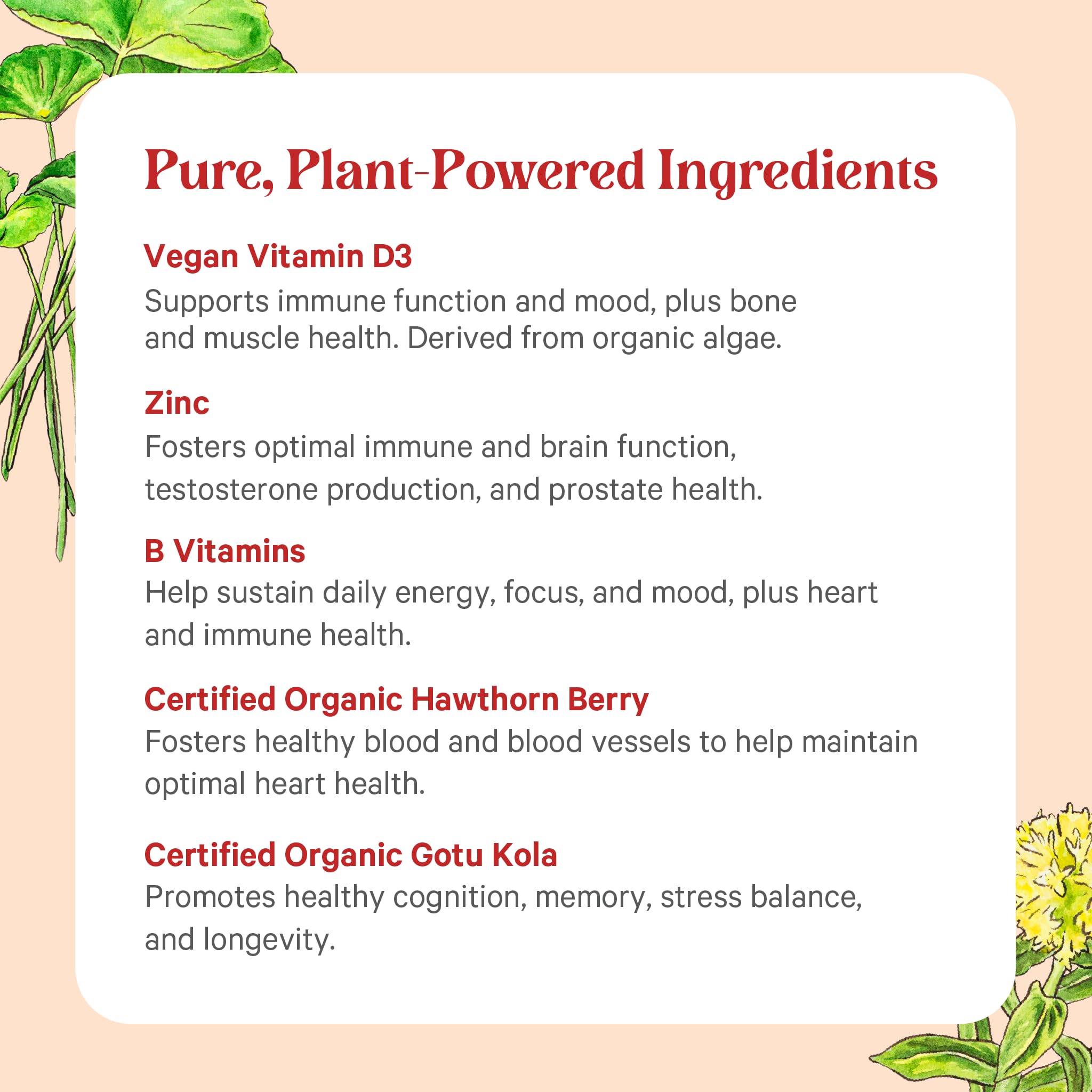 Pure Synergy Vita-Min-Herb : Utilisation suggérée quatre comprimés par jour