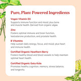 Pure Synergy Vita-Min-Herb : Utilisation suggérée quatre comprimés par jour