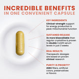 Capsules vegan Pure Therapro Rx sur plateau, formulation MicroActive pour absorption efficace.