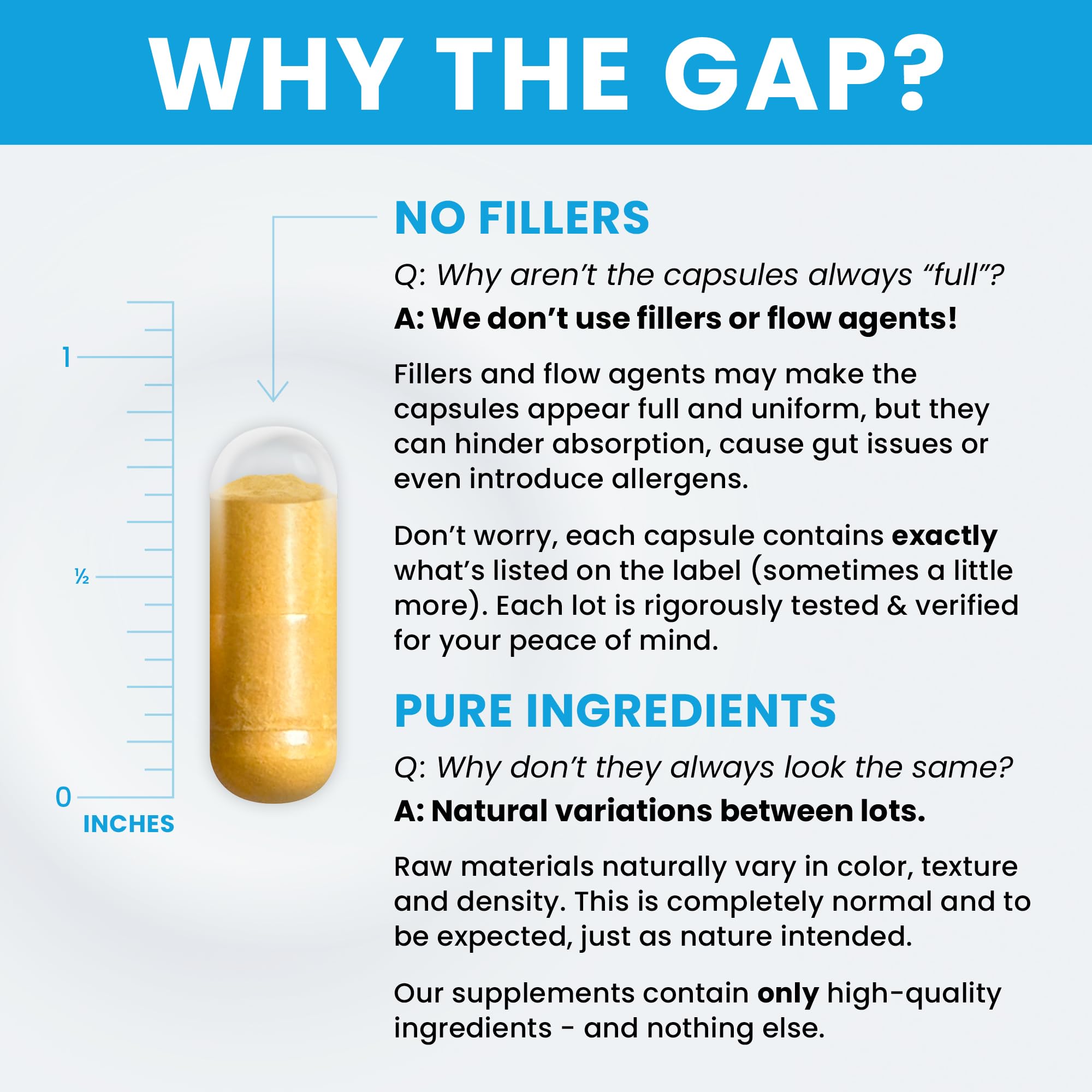 Pure Therapro Rx TMG – capsule montrant le triméthylglycine et son rôle potentiel.