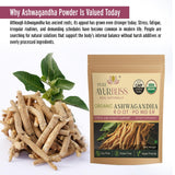 Étiquette bio PureAyurbliss sur l'emballage