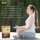 Utilisation quotidienne PureAyurbliss pour routine bien-être et énergie