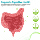 PureElite 10 souches – mélange probiotiques pour l'équilibre digestif.