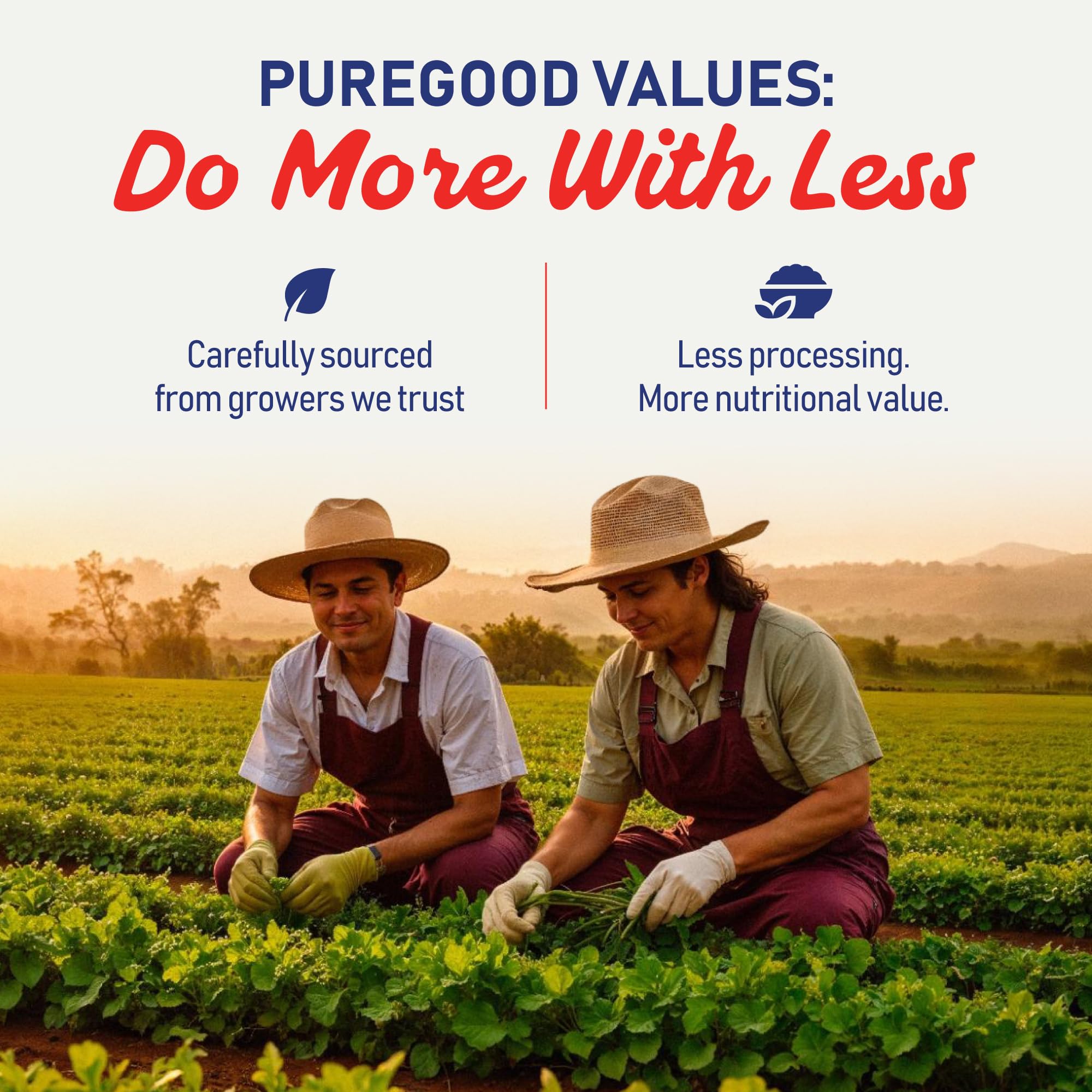 PureGood Poudre Bio Spiruline Bleue: ingrédients certifiés et polyvalence culinaire.