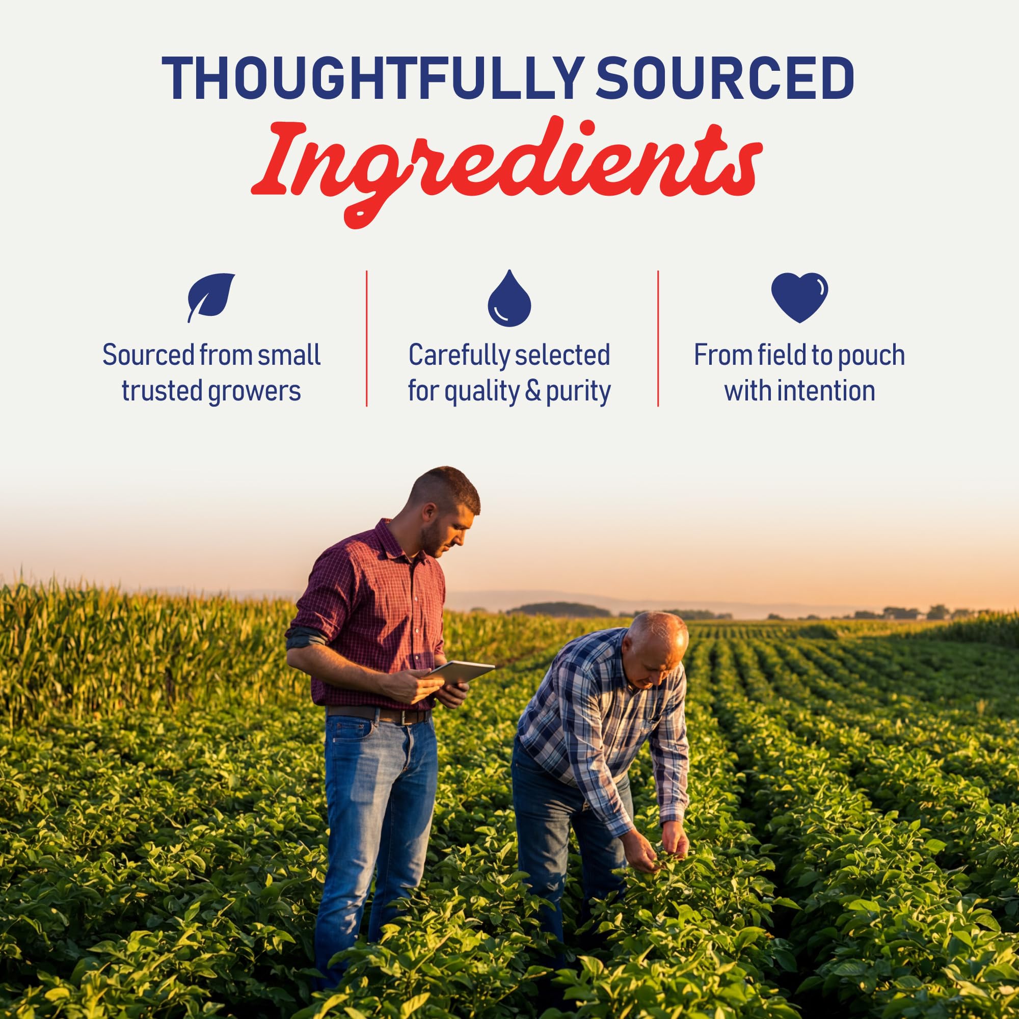 PureGood Utilisations Cuisine Bleue: colorie vos smoothies et desserts facilement.