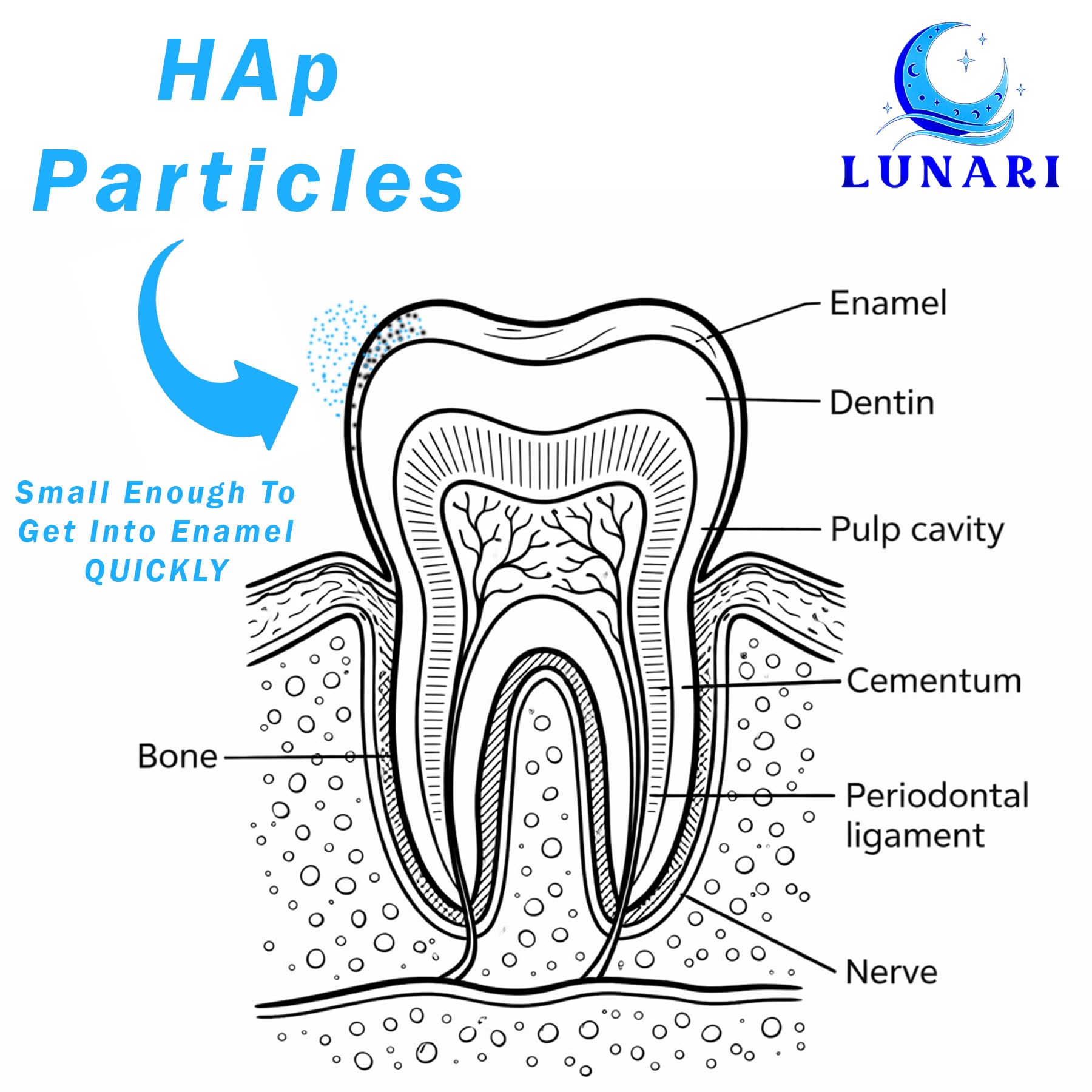 Purehap poudre nano-hydroxyapatite – sensibilité dentaire