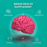 Etiquette arrière Ageless Brain — informations nutritionnelles et conseils d’utilisation.