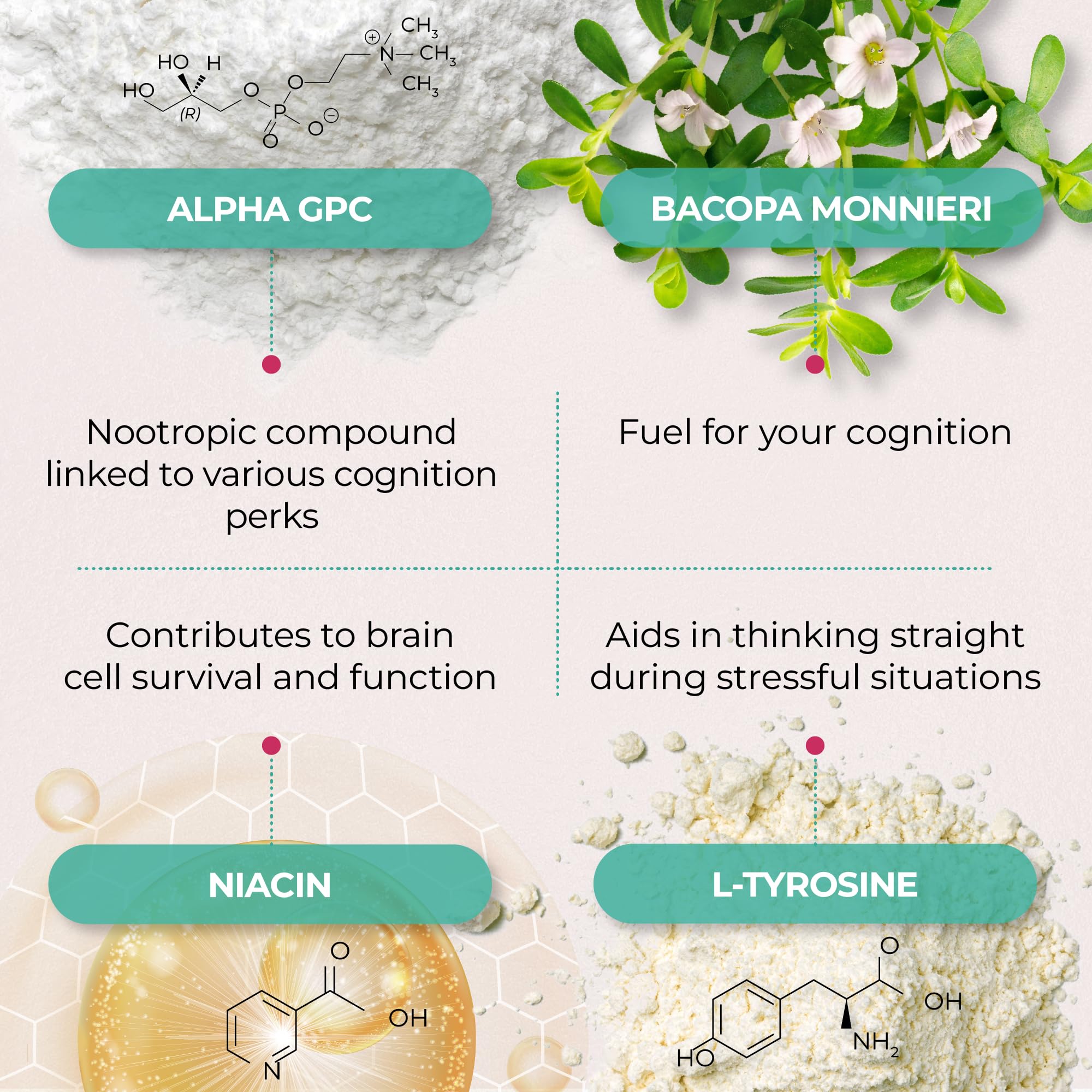 Ageless Brain gélules — soutien potentiel à la concentration et à la clarté mentale.