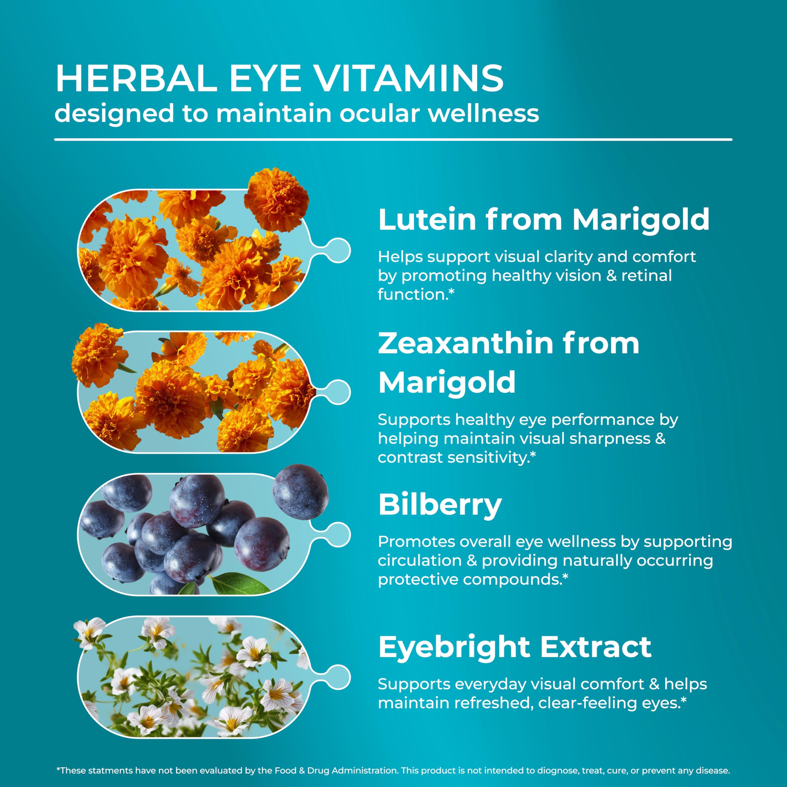 PUREHEALTH RESEARCH Formule Vision Complète – extrait de myrtille pour le soutien visuel.