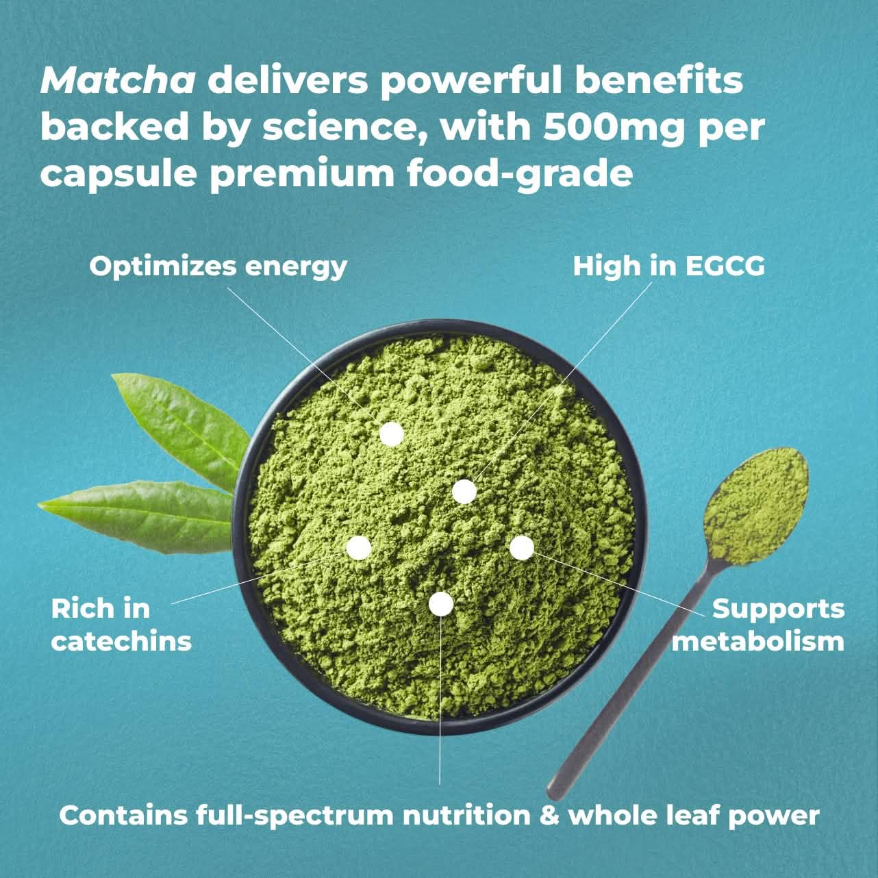 Routine quotidienne facilitée par PUREHEALTH RESEARCH Matcha.