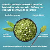 Routine quotidienne facilitée par PUREHEALTH RESEARCH Matcha.