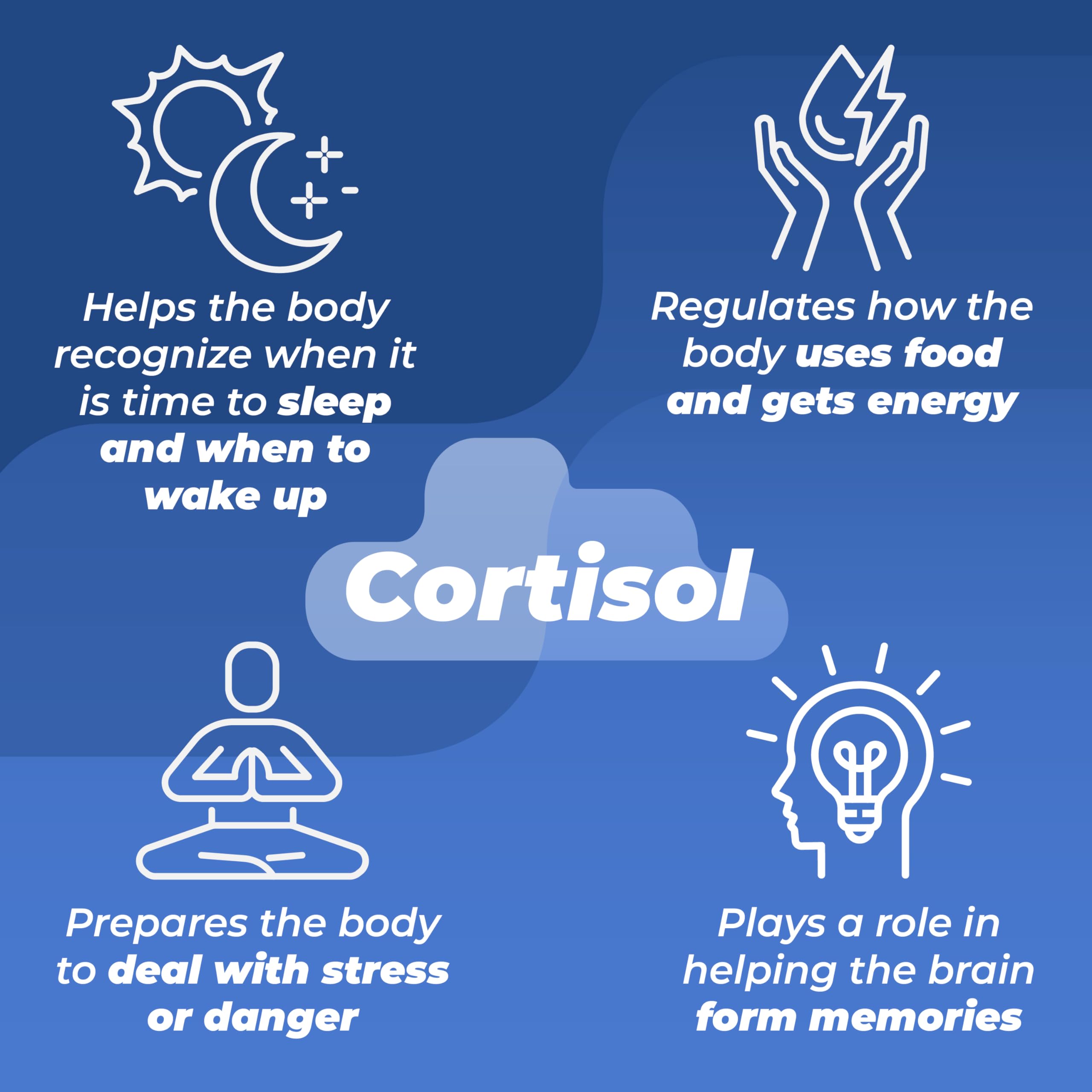 Stress Release Complex de PUREHEALTH RESEARCH – tableau nutritionnel montrant les vitamines B pour énergie.