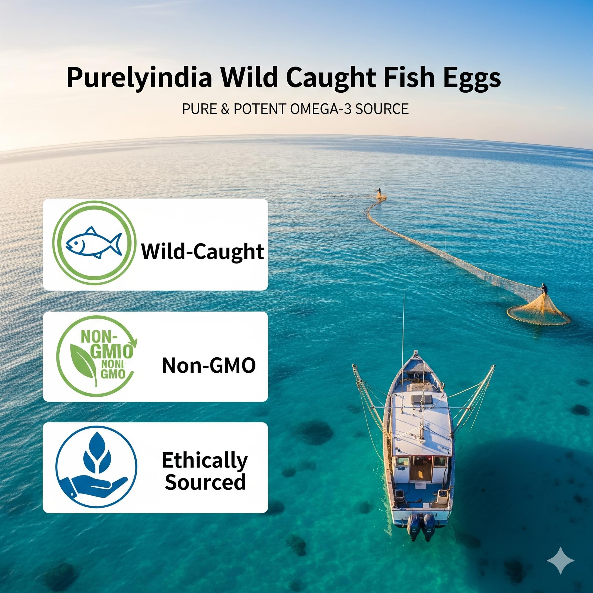 Purelyindia présentation en boîte, idéal pour routine santé quotidienne.