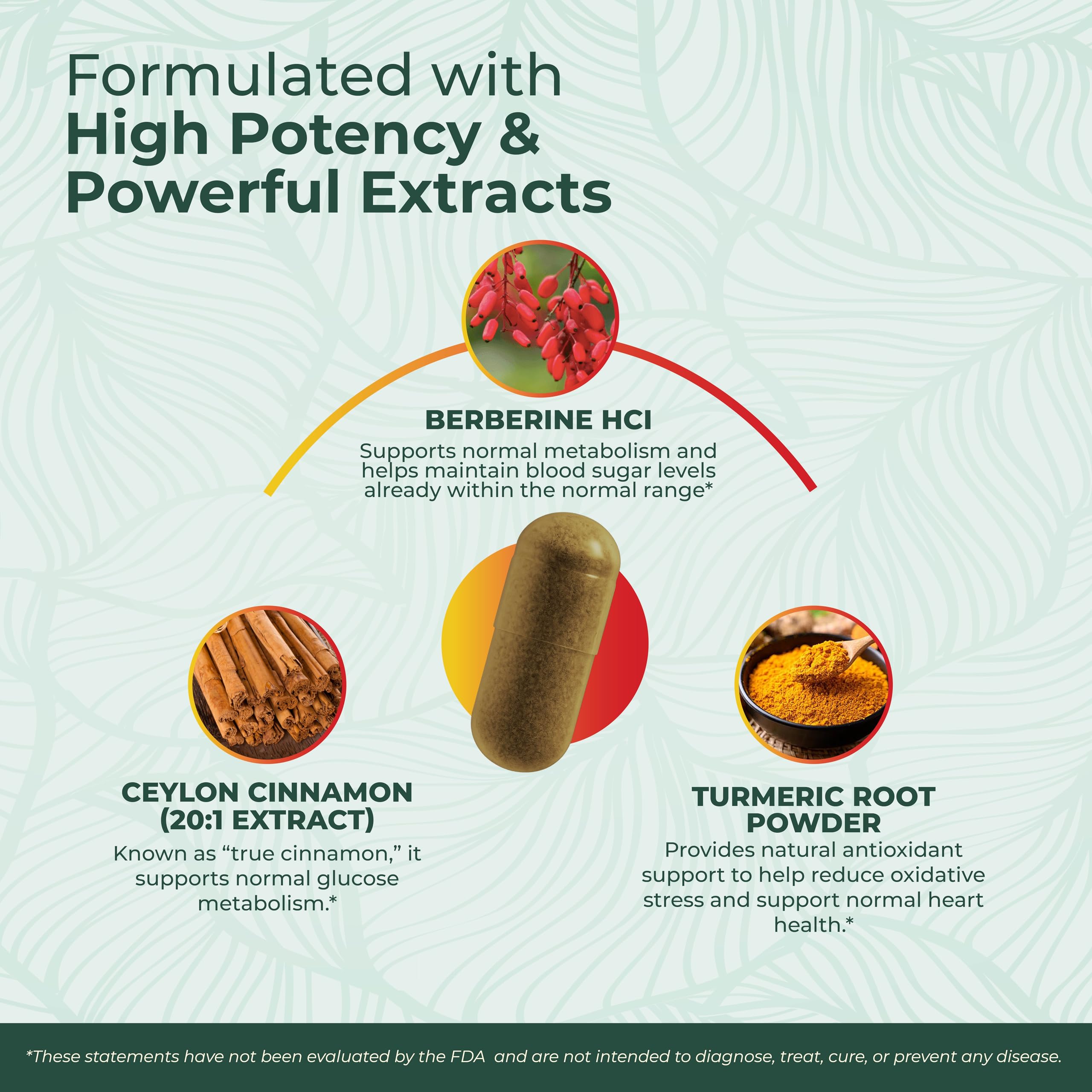 PurePremium Berberine Cinnamon Complex, capsules visibles, formule concentrée pour énergie naturelle et métabolisme.