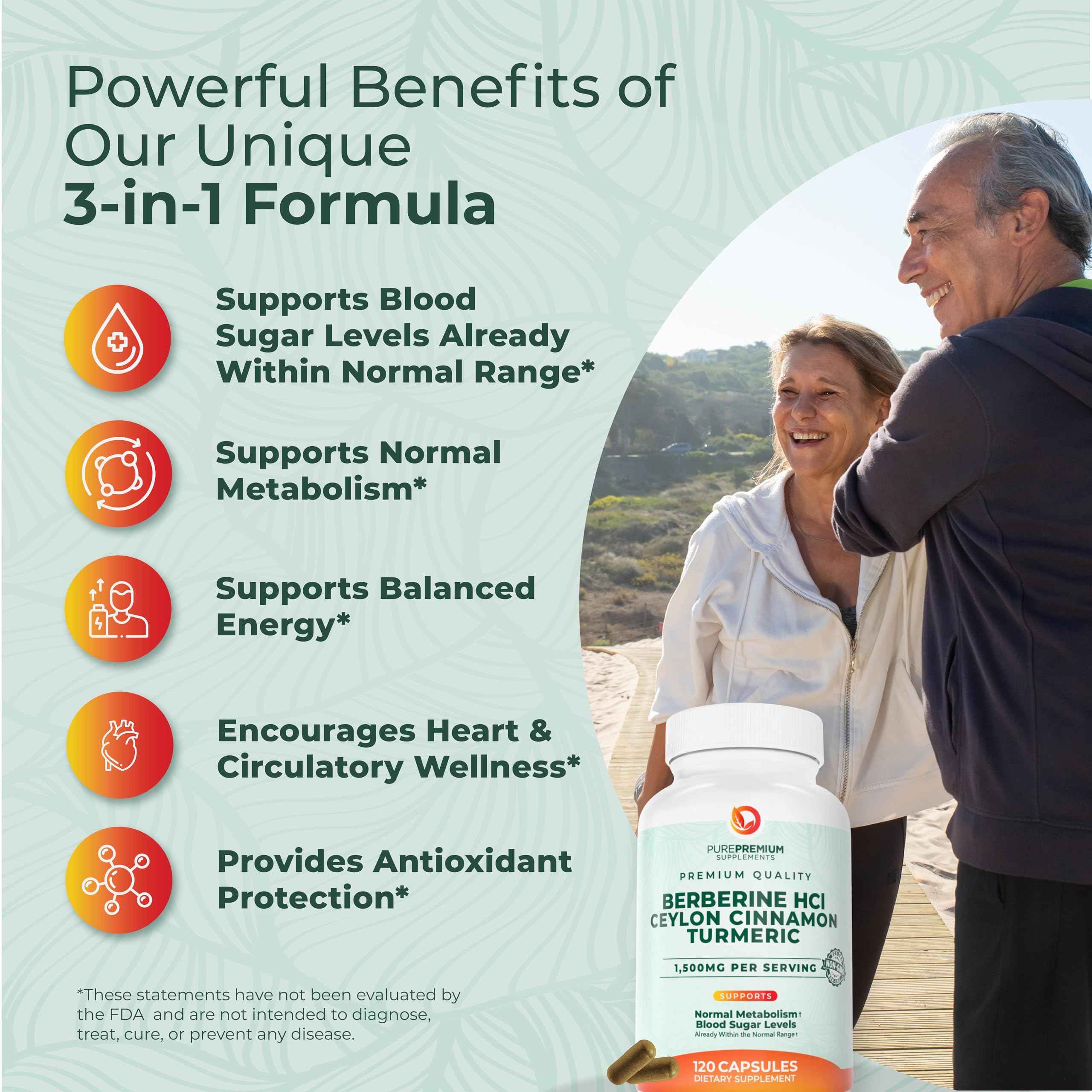PurePremium Berberine Cinnamon Complex, étiquette lisible, extrait de cannelle et berbérine pour l'équilibre.