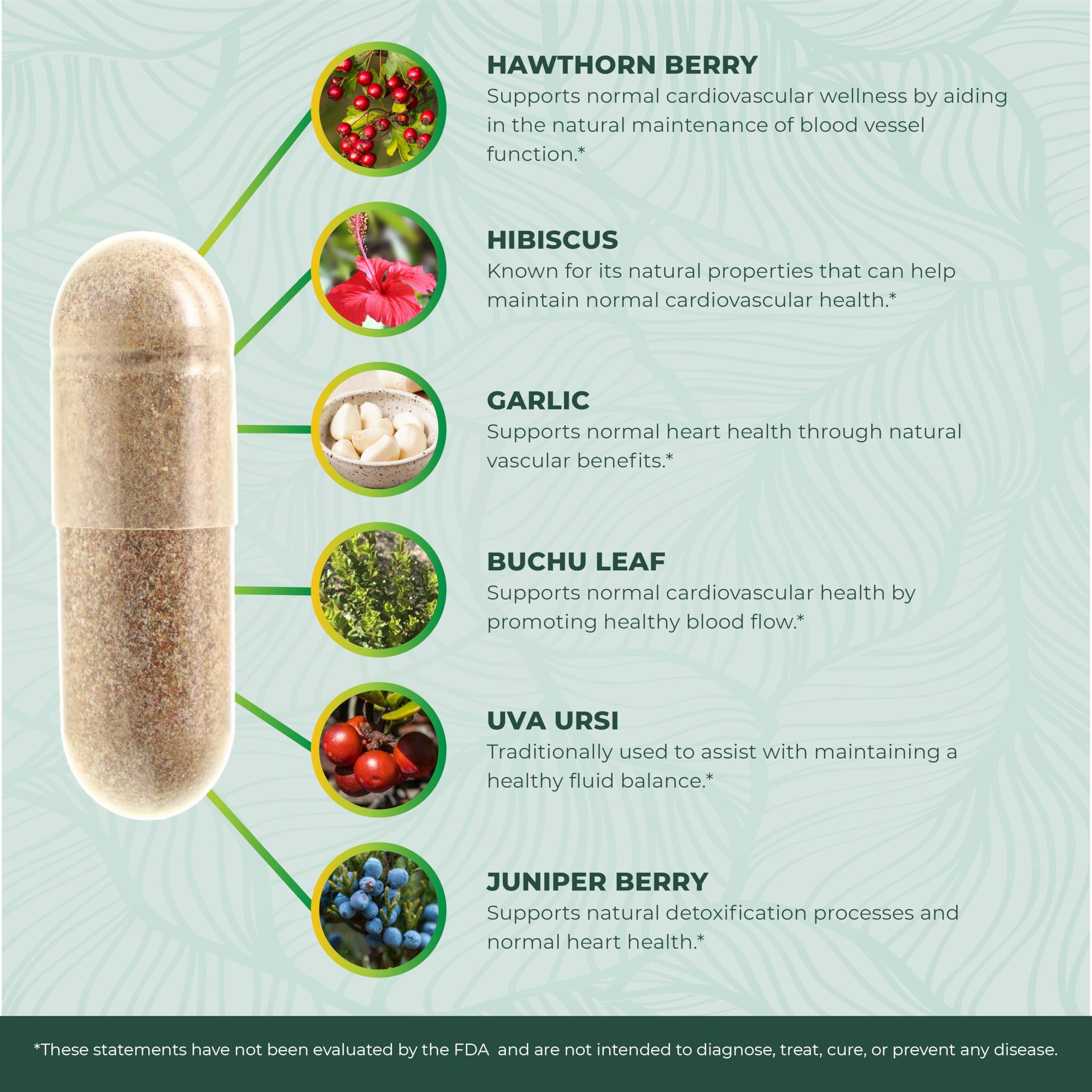 PurePremium extrait d’ail, ingrédient naturel pour le soutien nutritionnel.