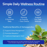 Extrait concentré Ashwagandha 50 mg par portion Purify Life
