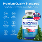 Ashwagandha Purify Life sans OGM et sans gluten pour une routine saine