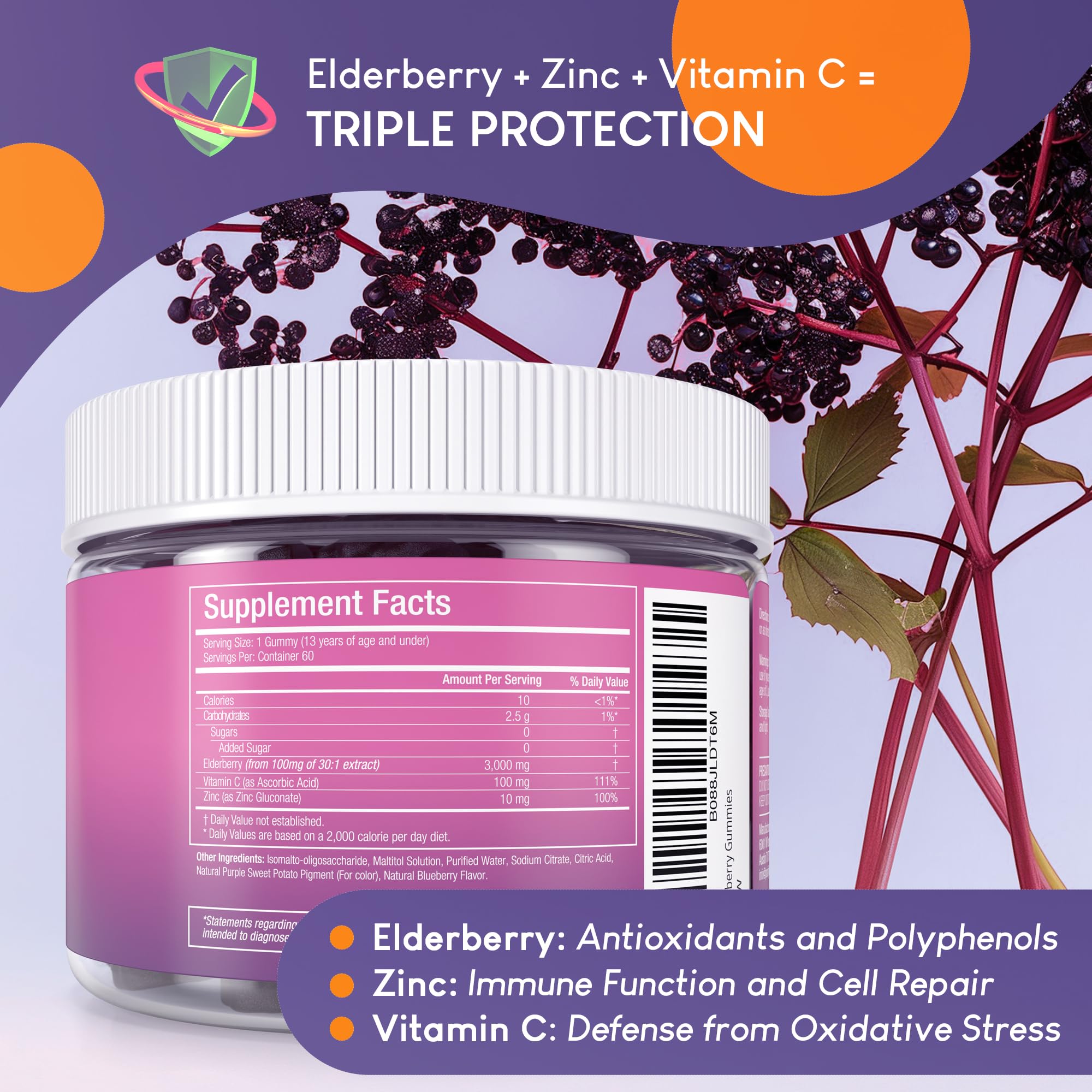 Purify Life Gomme Sureau Noir Extrait Sureau 30:1: concentration naturelle.