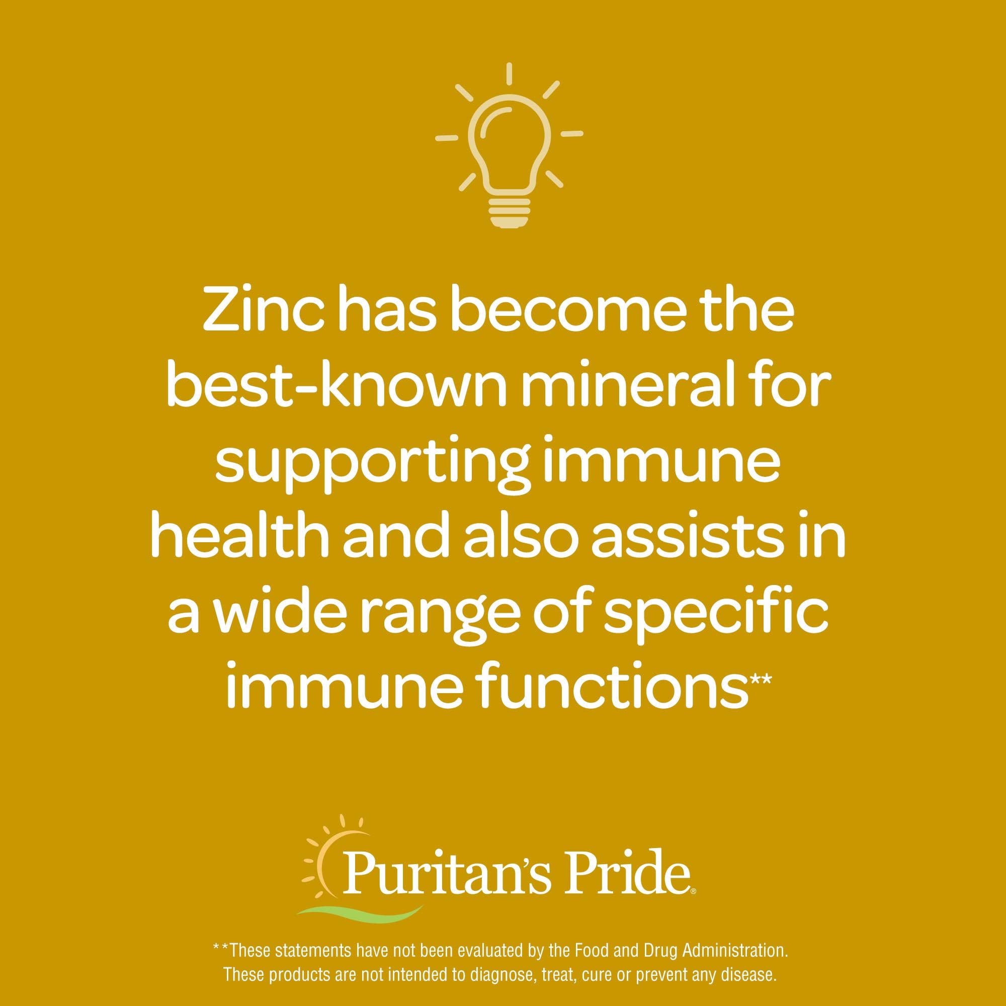Puritan's Pride Zinc 25 mg – vue contextuelle, peut soutenir énergie et vitalité au quotidien.