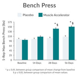 Purity Products Muscle Accelerator – focus sur la circulation et l'énergie durant l'effort.