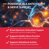 Purmeo acide-alpha-lipoique identifie l'antioxydant clé pour le soutien nerveux.