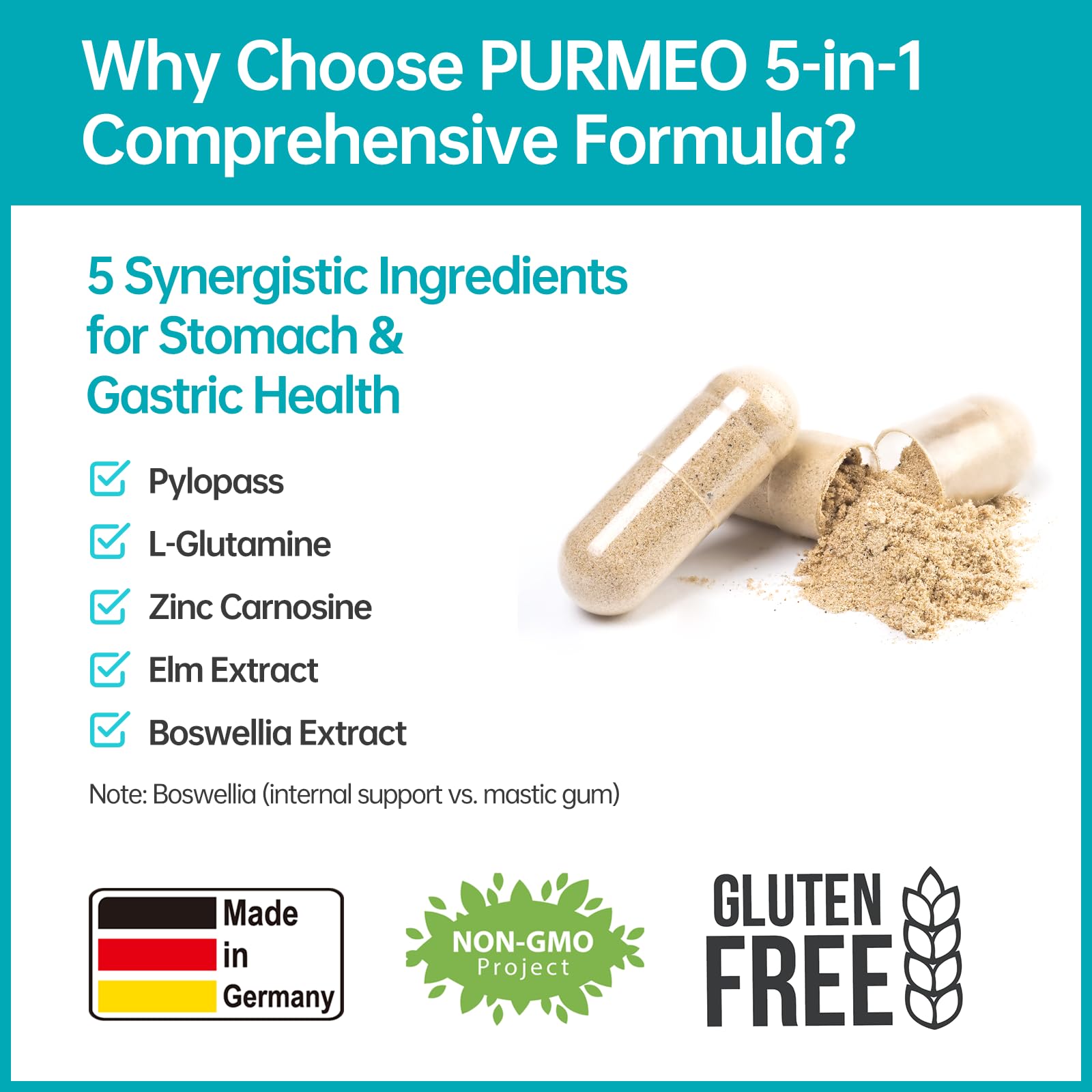 Purmeo Gomme Mastic – soutien digestif et confort après les repas.