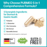 Purmeo Gomme Mastic – soutien digestif et confort après les repas.